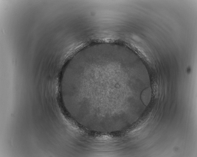 X0000095540594200712211349