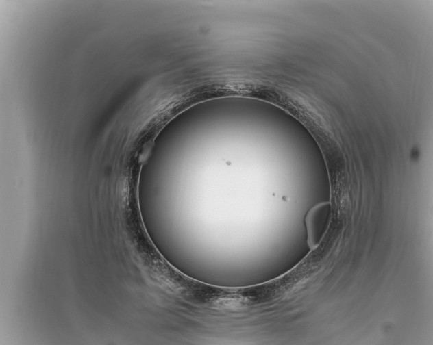 X0000095540595200712211349