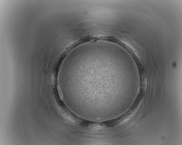 X0000095540597200712211349