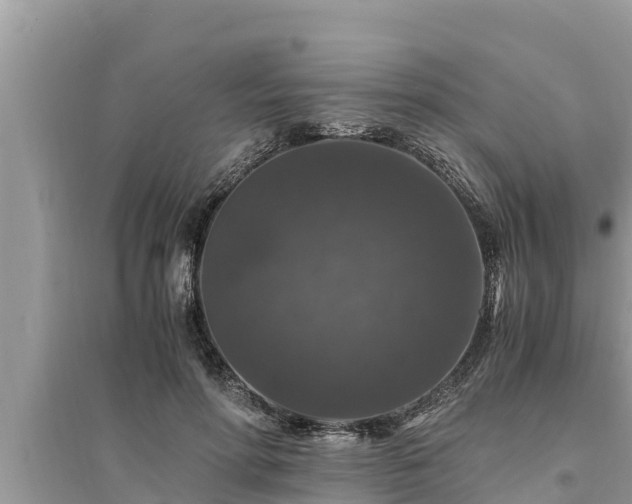 X0000095540598200712211349