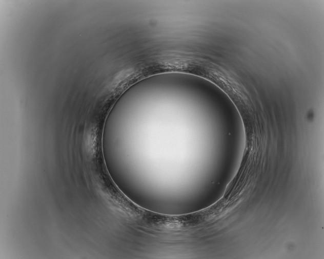 X0000095540600200712211349