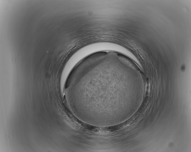 X0000095540601200712211349