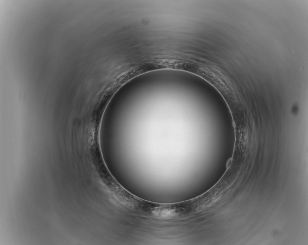 X0000095540602200712211349