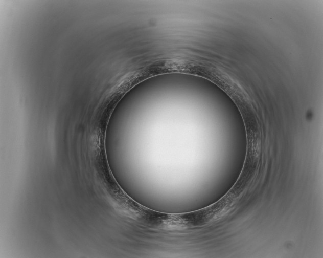 X0000095540603200712211349