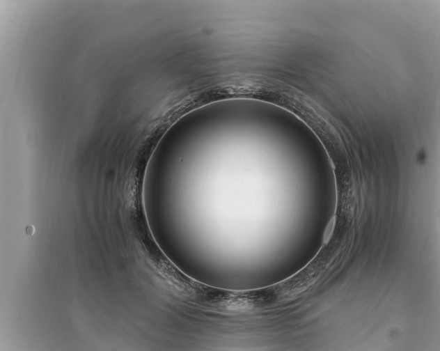 X0000095540604200712211349