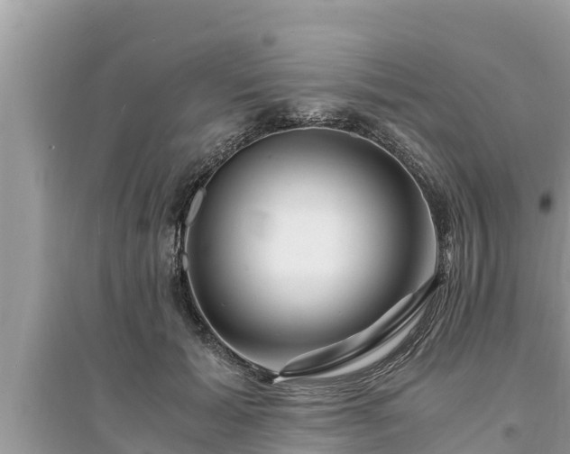 X0000095540605200712211349