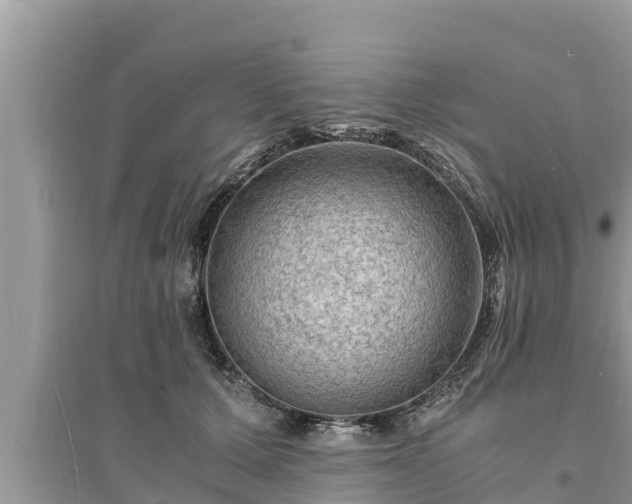 X0000095540607200712211349