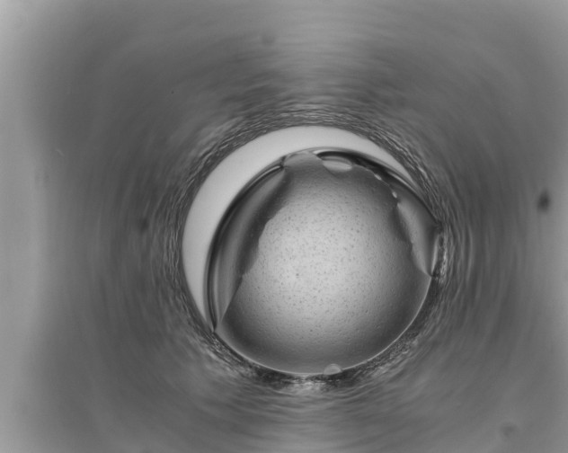 X0000095540609200712211349