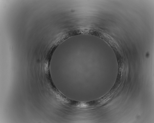 X0000095540610200712211349