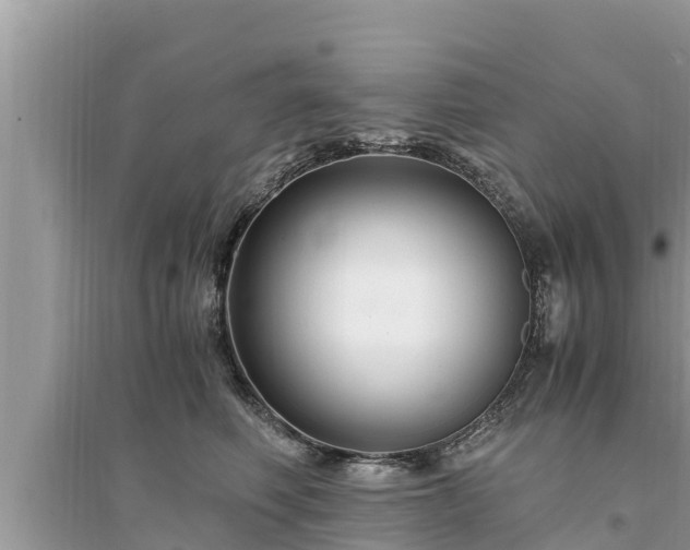 X0000095540614200712211349