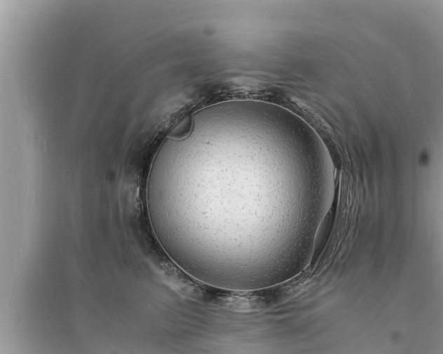 X0000095540615200712211349