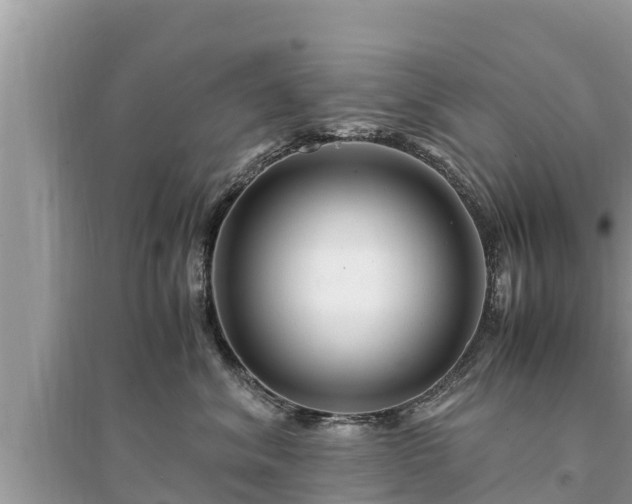 X0000095540620200712211349