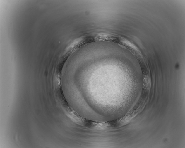 X0000095540621200712211349