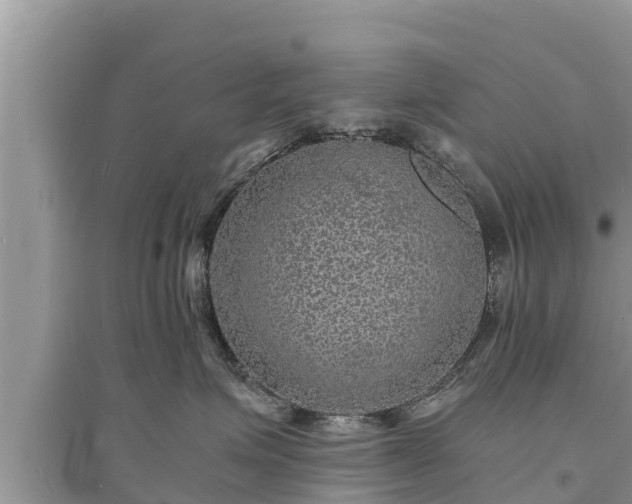 X0000095540623200712211349