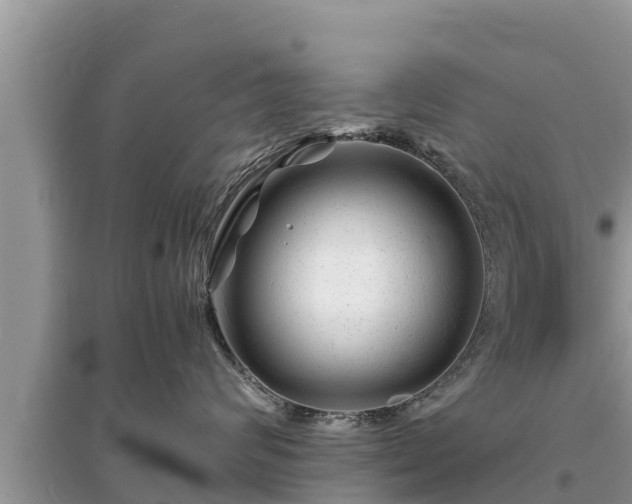 X0000095540624200712211349