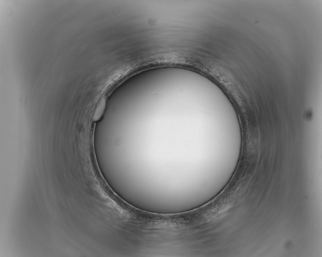 X0000095540625200712211348