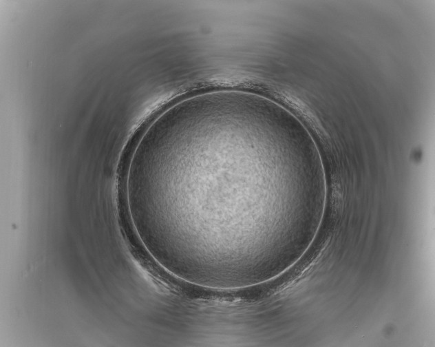 X0000095540626200712211348