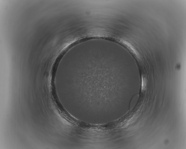 X0000095540627200712211348