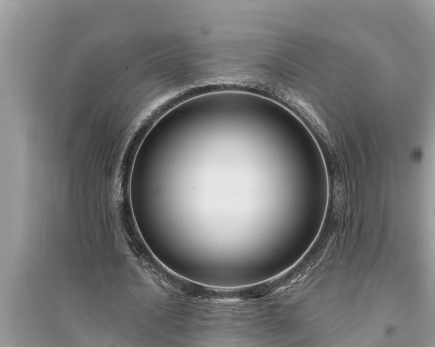 X0000095540628200712211348