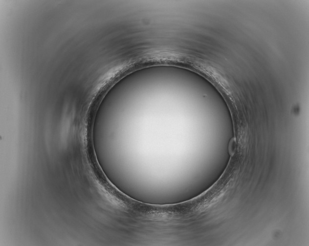 X0000095540629200712211348