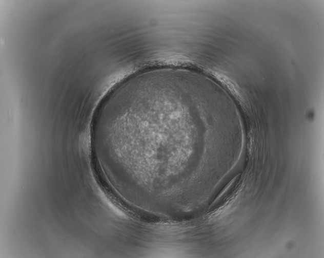 X0000095540630200712211348