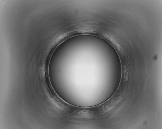 X0000095540631200712211348