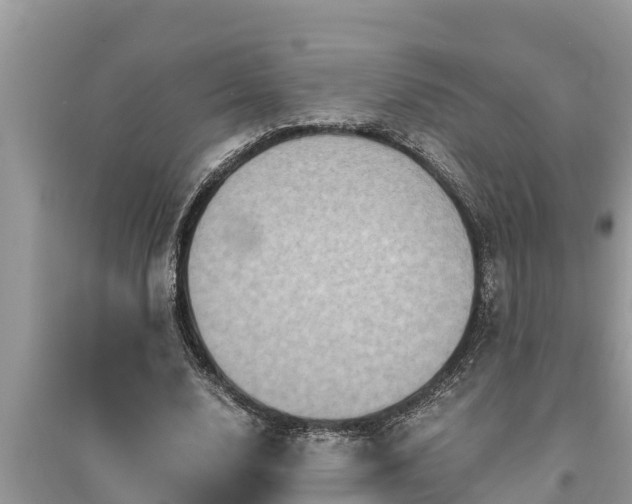 X0000095540632200712211348