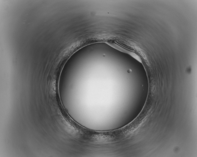 X0000095540633200712211348