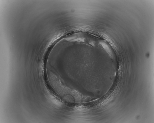 X0000095540634200712211348