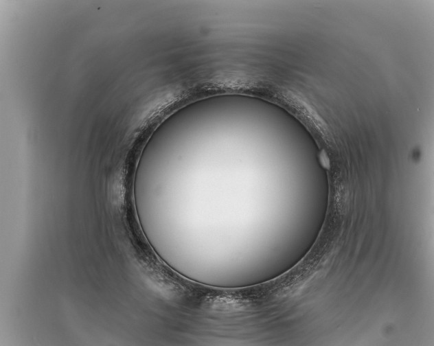 X0000095540635200712211348