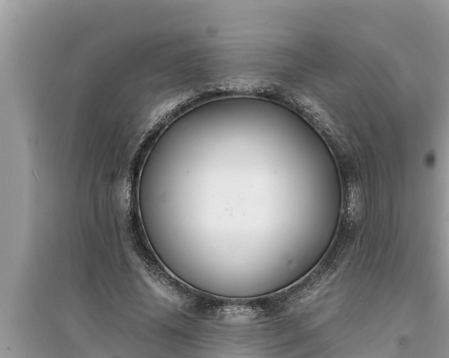 X0000095540636200712211348