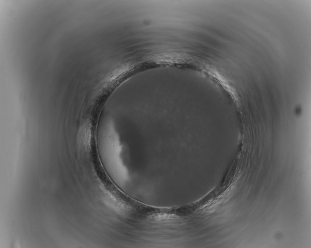 X0000095540637200712211348