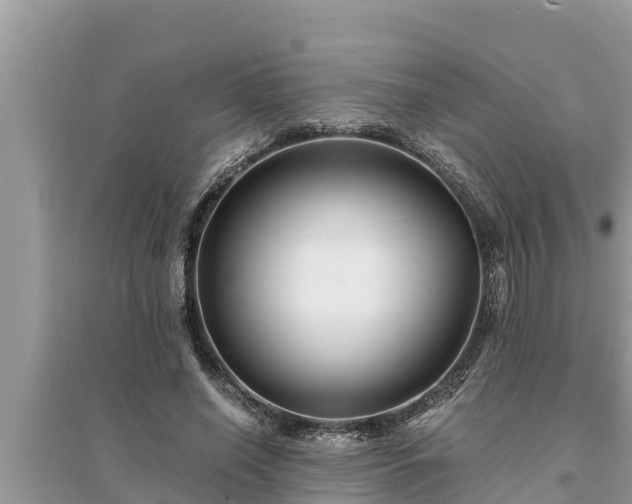 X0000095540638200712211348