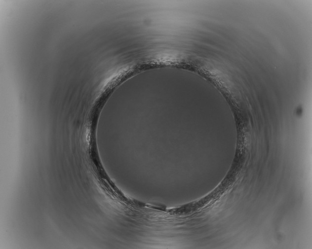 X0000095540640200712211348