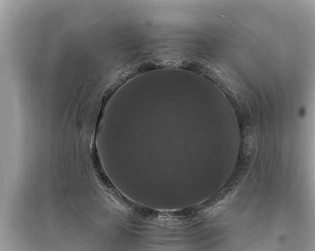 X0000095540641200712211348