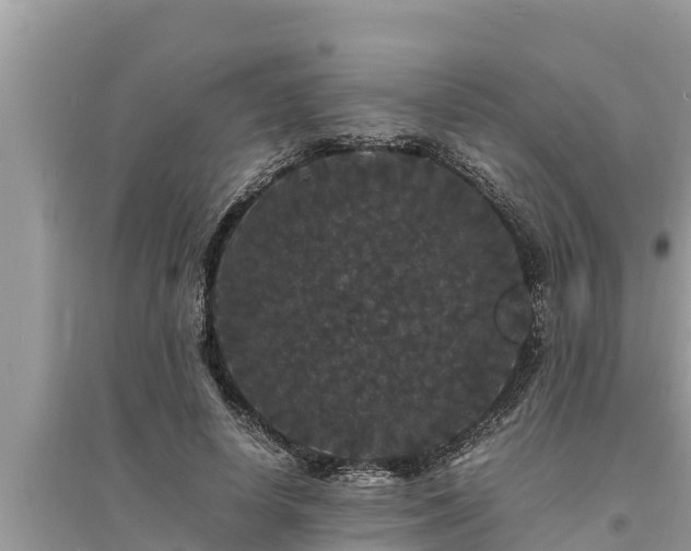 X0000095540642200712211348