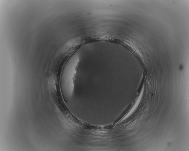 X0000095540643200712211348