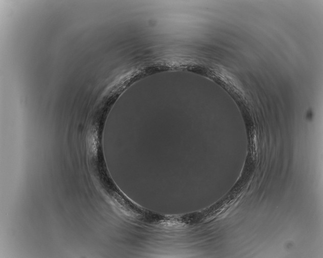 X0000095540644200712211348