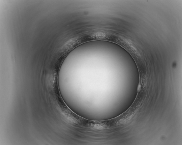 X0000095540645200712211348