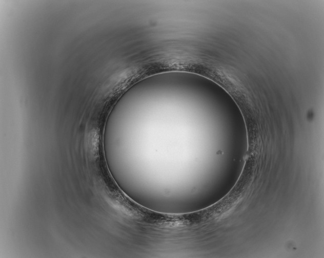 X0000095540646200712211348