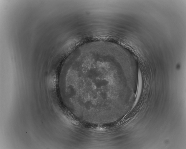 X0000095540647200712211348