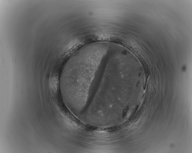 X0000095540648200712211348