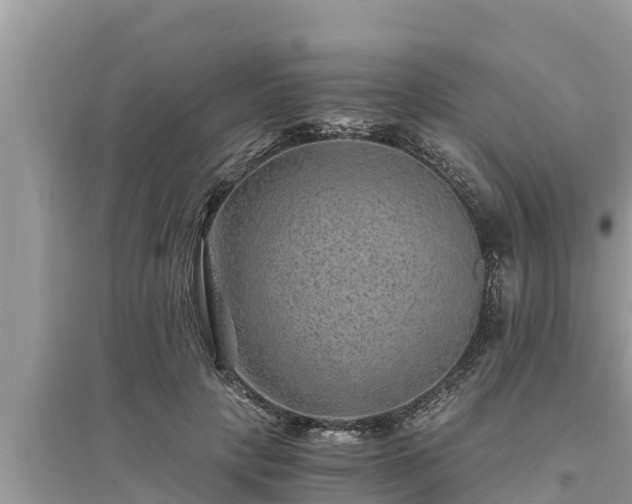 X0000095540649200712211348