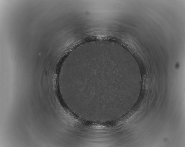 X0000095540650200712211348