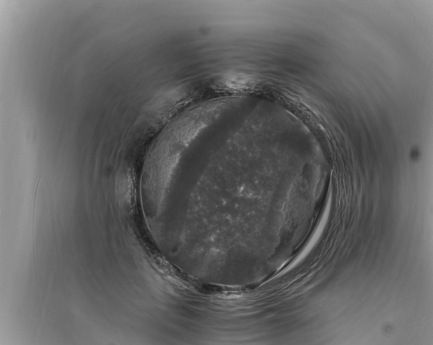 X0000095540651200712211348