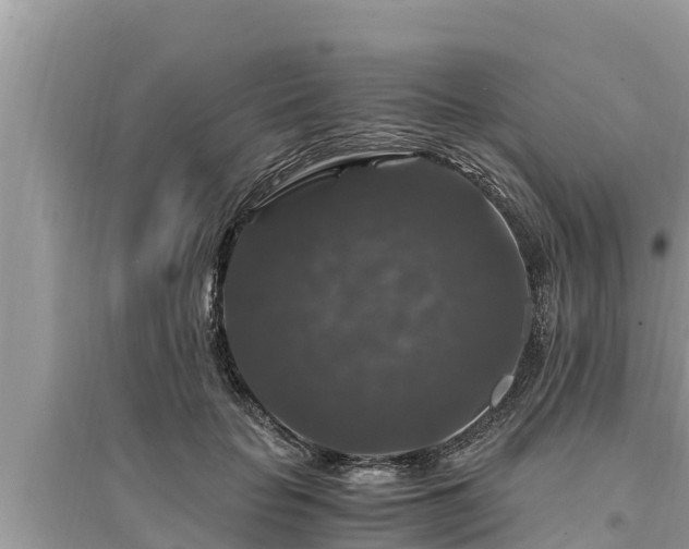 X0000095540653200712211349