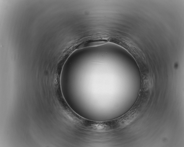 X0000095540654200712211349