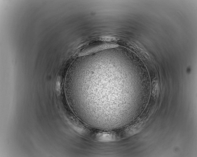 X0000095540655200712211349