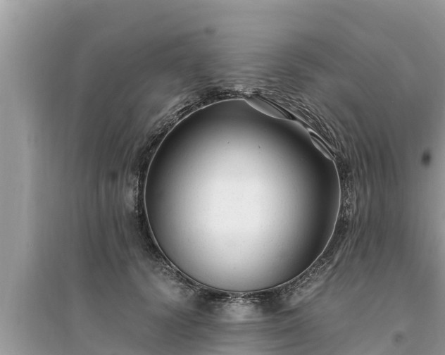 X0000095540656200712211349