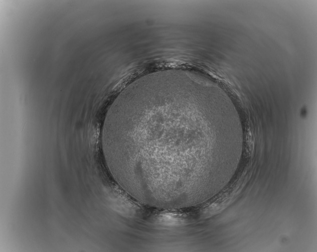 X0000095540657200712211349